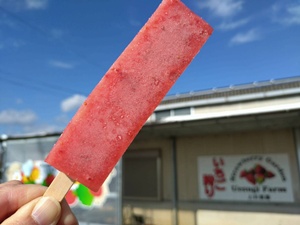 くず餅アイスバー